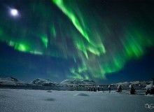 Flott Nordlys film