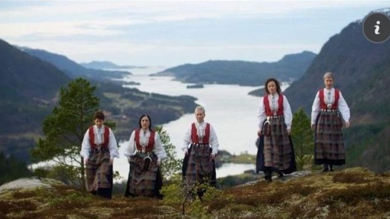 52986653228_f8a63b3538_c-1