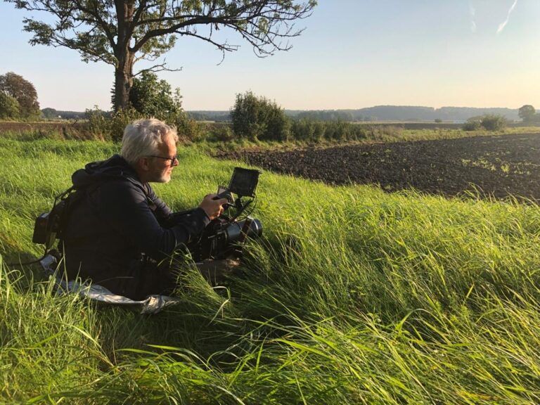 c91441d2-5b9f-42d0-b91a-31d68ee4fea6-1